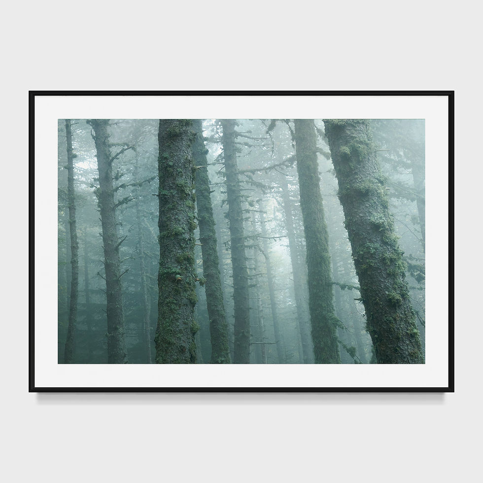 Photo du mont ventoux