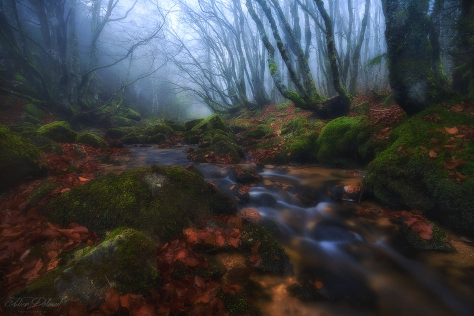Rivière d'automne en Cévennes