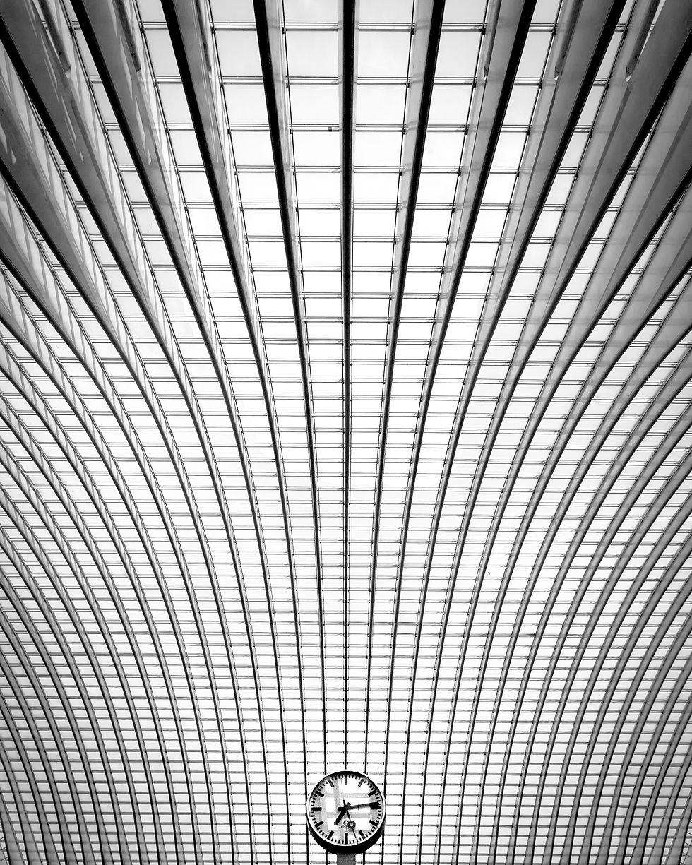 Gare de Liège-Guillemins en Belgique - Photo d'Architecture - Photographie d'art
