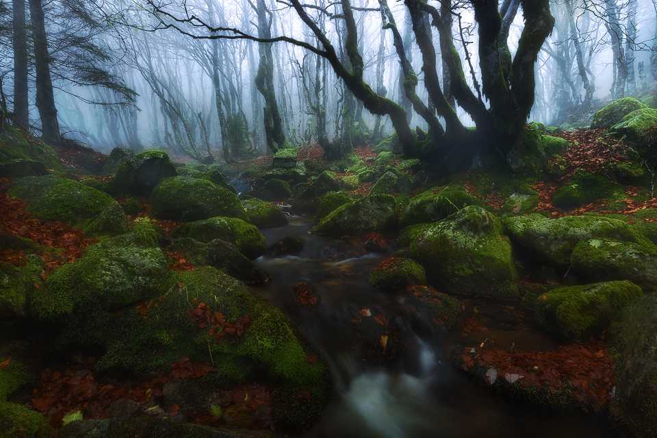 Cascades d'Orgon - Parc National des Cévennes