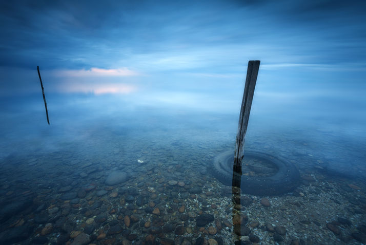 Échos Silencieux de l'Etang de l'Or - Occitanie