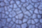 Texture naturelle de sol craquelé en Camargue.
