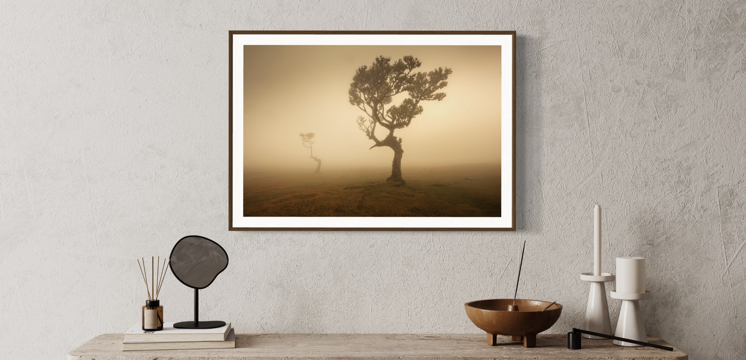 photo d'art d'un arbre encadrée au dessus d'une étagère