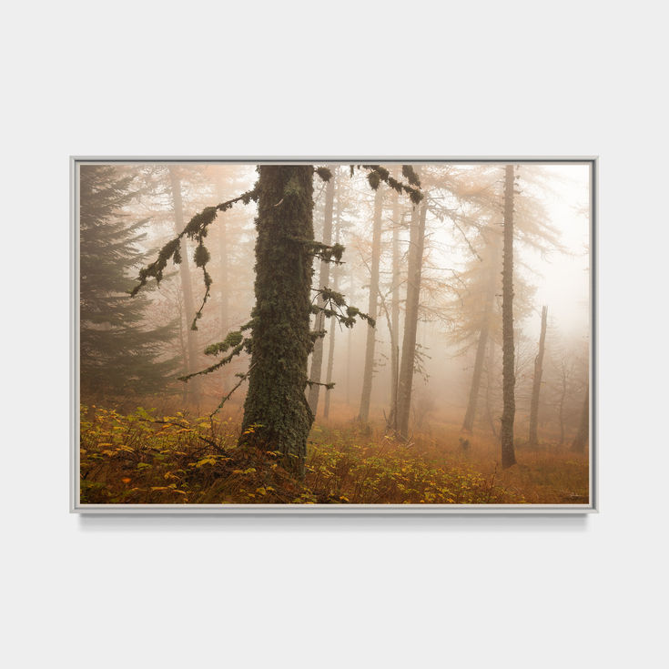 Photo du mont ventoux