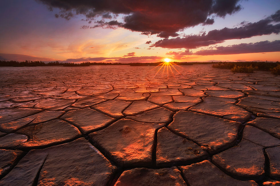 Coucher de soleil flamboyant sur un sol craquelé en Camargue, aux Saintes-Maries-de-la-Mer