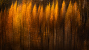 Sortir des Sentiers Battus en Photographie de Paysage : Trouver Son Regard Unique