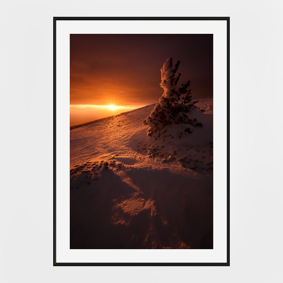 Photo du mont ventoux