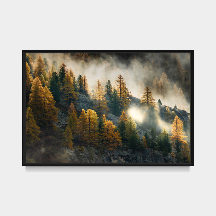 Photographie d'art de la vallée de la Clarée avec des mélèzes dorés illuminés par les rayons du soleil à travers la brume aut
