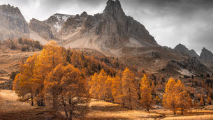 Savoir Sélectionner ses Photos de Paysage : L’Art du Tri et du Choix