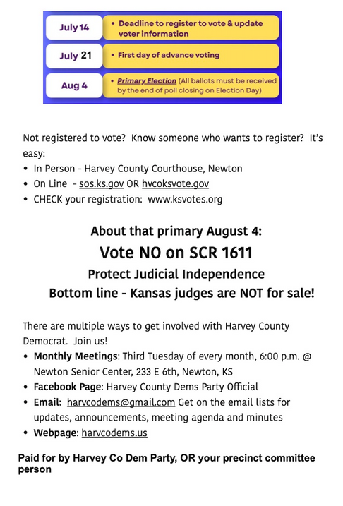 Generic Ann Primary Flyer 00.png