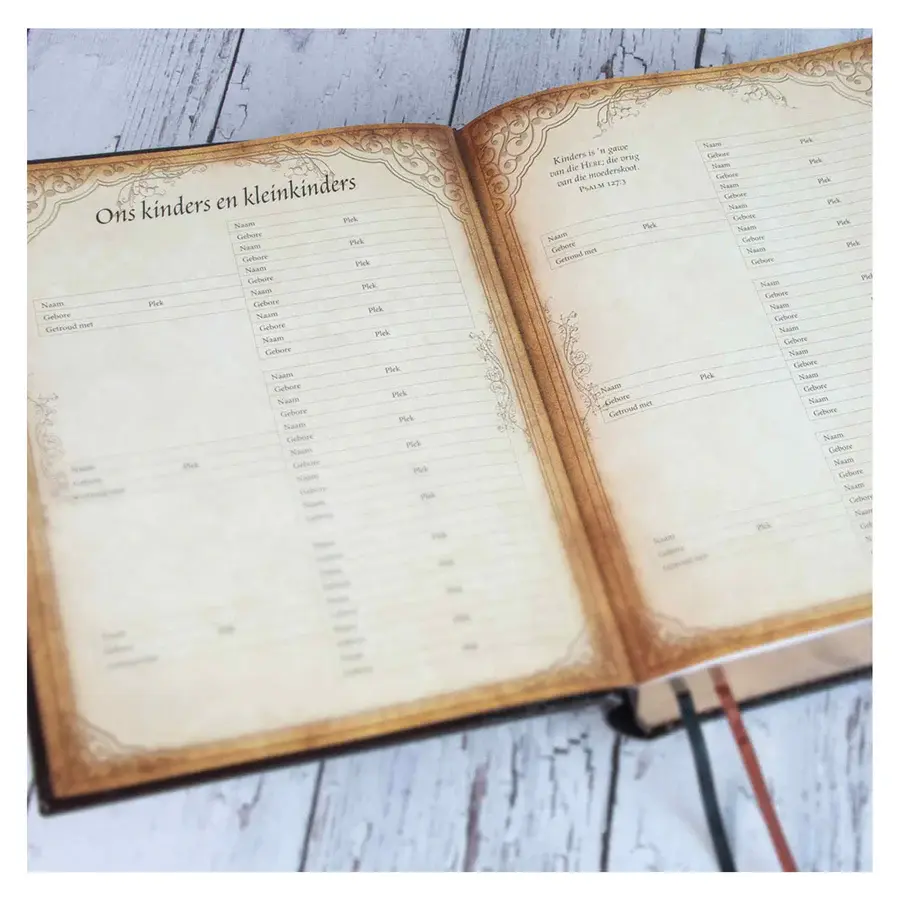 Thumbnail: NLV Bruin Kunsleer Familiebybel