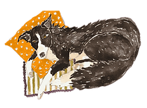 Illustration aquarelle d'un chien border collie couché sur un coussin orange par Laura Rachez, illustratrice.