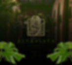 Cover.jpeg