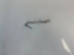 Thumbnail: Dell Inspiron 15 5567 P66F001 Laptop 0R6RKM AC DC Power Jack Charging Port