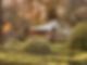 2a668166-8211-4deb-a6c5-521b5d663176.jpg