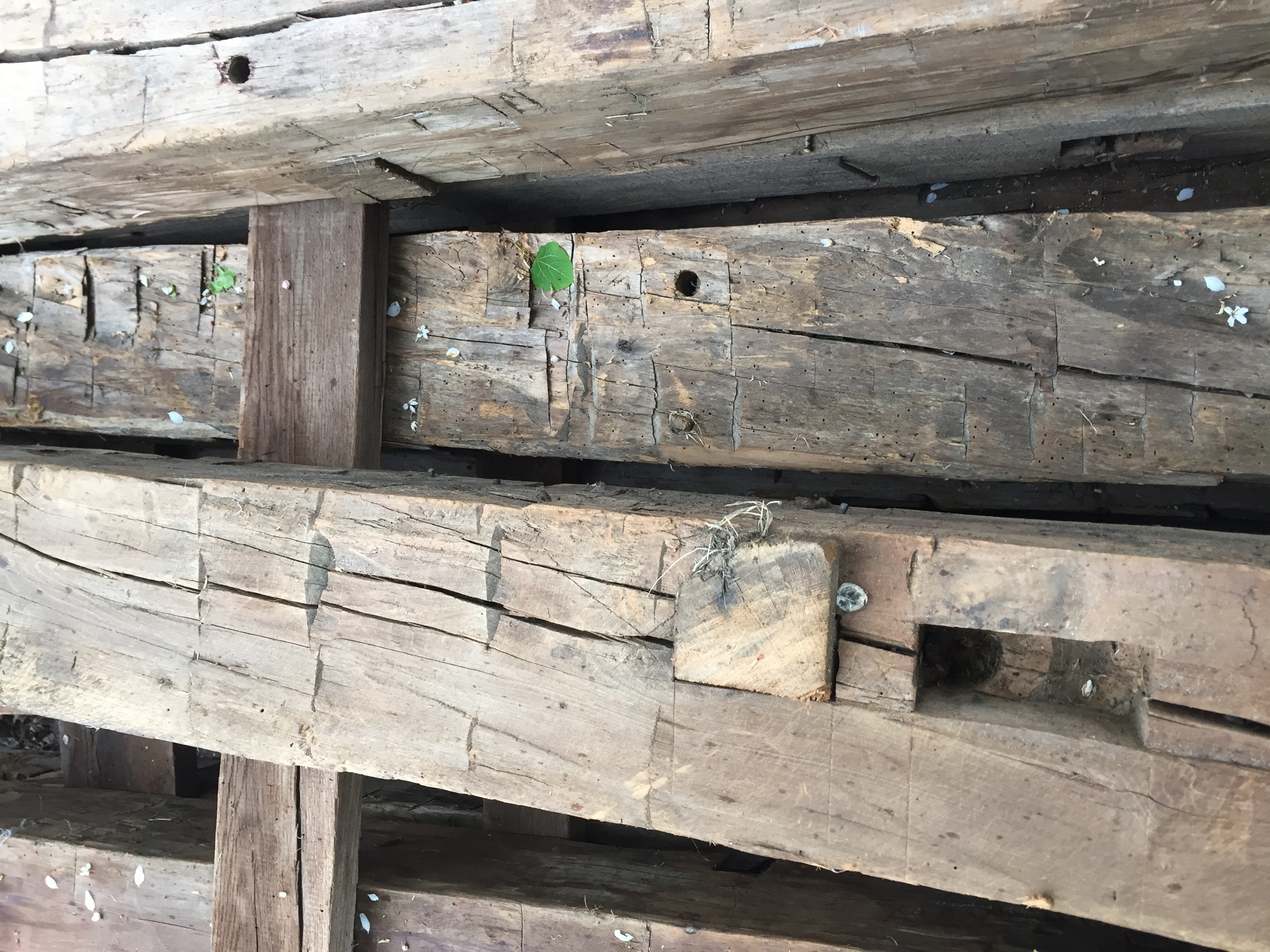 Barn Beams