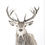 Thumbnail: STAG (one piece)