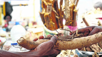 Líderes religiosos responsabilizam médicos tradicionais pelos crimes passionais