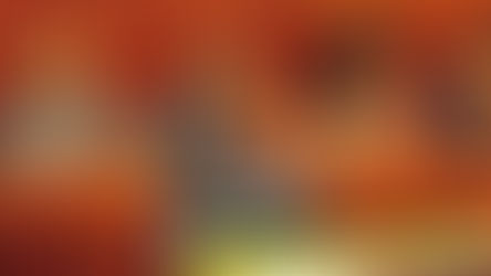 Bancada parlamentar da Frelimo
Nyusi reconhece postura na aprovação de Leis