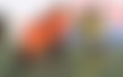 CANARINHOS RECUPERAM FÔLEGO