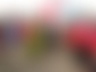 Verónica Macamo orgulhosa pelo empenho da Frelimo em Gaza