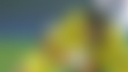 JÚLIO CÉSAR DEVE SER NOVIDADE FRENTE AO NÁPOLES