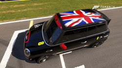 Mini Black