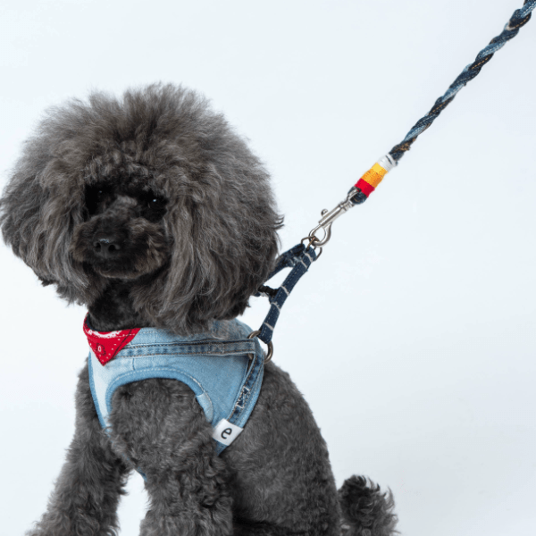 サムネイル： デニリード（愛犬用リード）