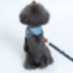 サムネイル： デニリード（愛犬用リード）