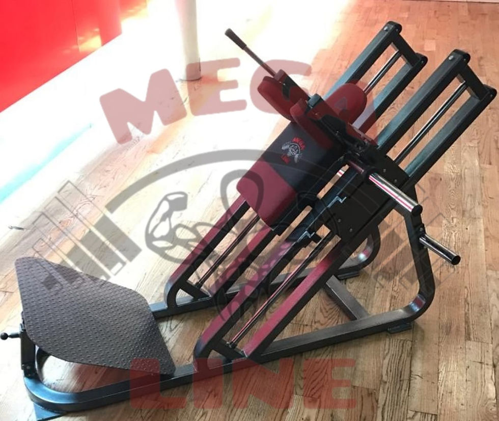 Miniatura: Sentadilla Hack
