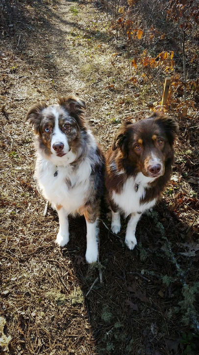 Riverbend-Veterinary-Care-2.jpeg