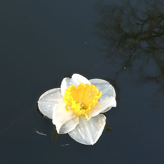 My experience of learning Meditation - ‘Letting Go’