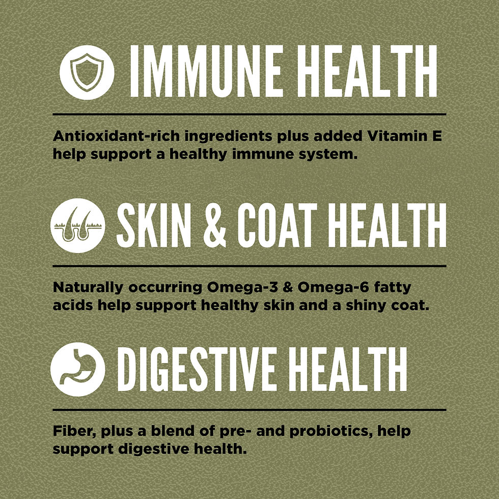 Thumbnail: ORIJEN TUNDRA DOG