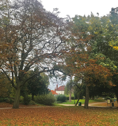 Capturing Autumn Photo Competition 2020