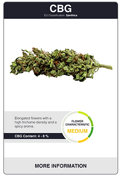 CBG Blüten