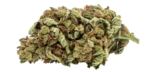 CBD Großhandel Blüte