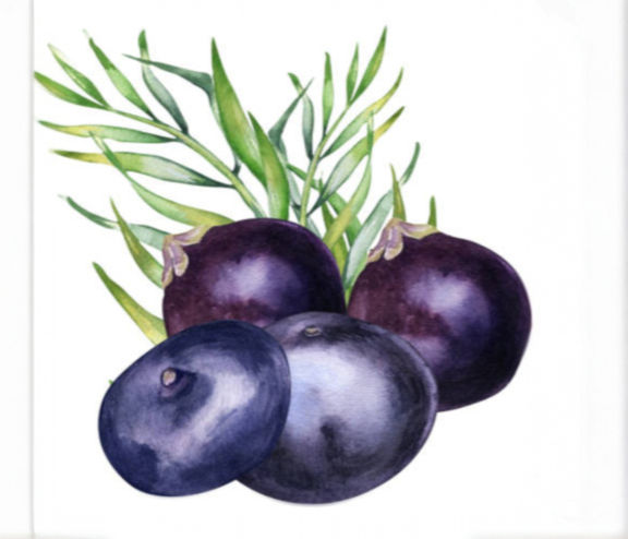 Acai Seed Oil 巴西莓油