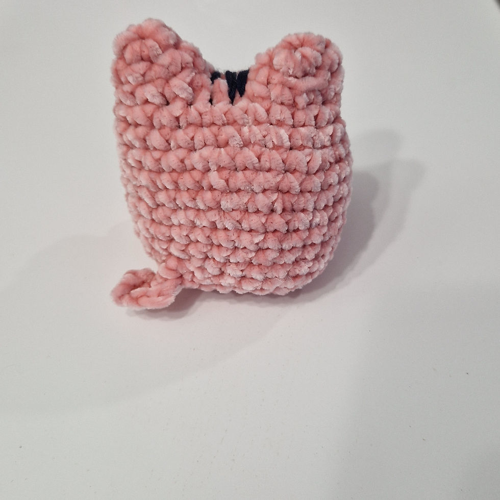 CHAT MINI Rose