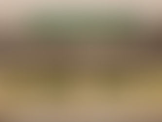 June 25 - Venard & Garner Dominate Miami