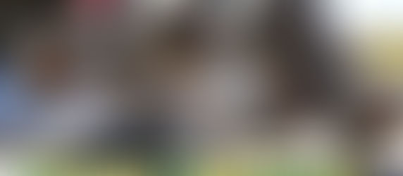 This Week in Monster Truck Racing - February 20-22, 2026