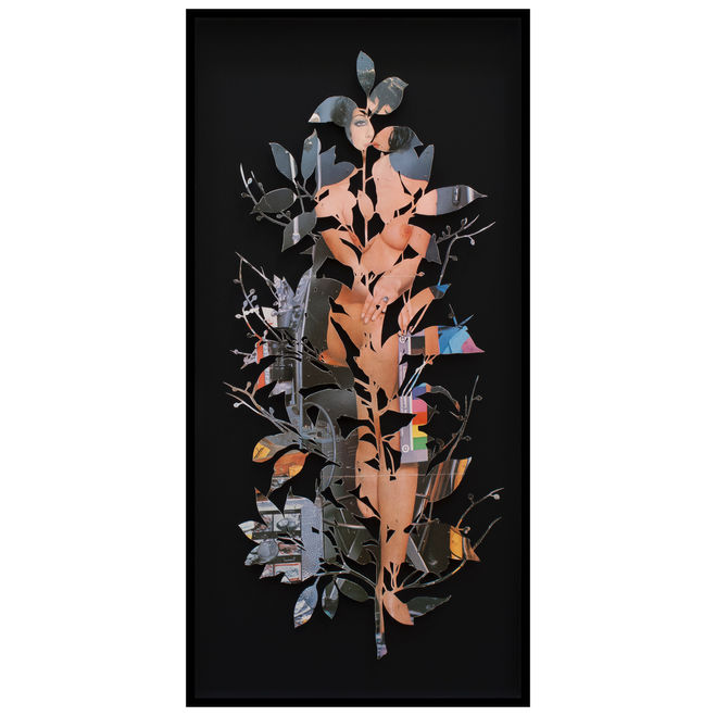 Flora Chimera, botanical cutout plant branch of pin-up center fold pinned on black background by Paolo Giardi.