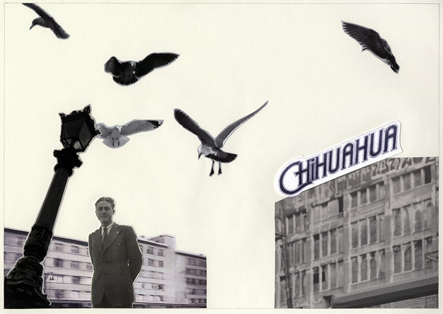 A lonely guy is dwarfed by a cityscape with flying birds and a sign reading 'Chihuahua' in a collage of cuttings and photographic vintage prints by Paolo Giardi.