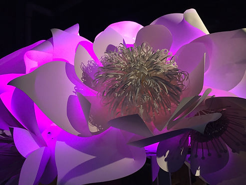 Paper Flower Centerpiece