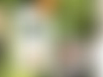 Sustainable fashion news