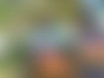 Discover Austin: Unveiling Hidden Gems and Must-See Attractions