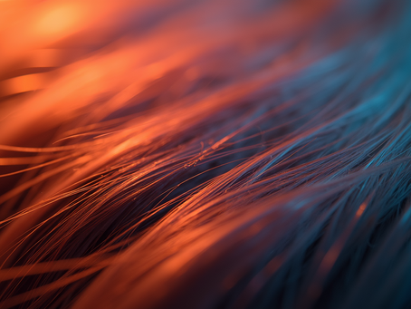 Transform Your Style with Custom Hair Coloring