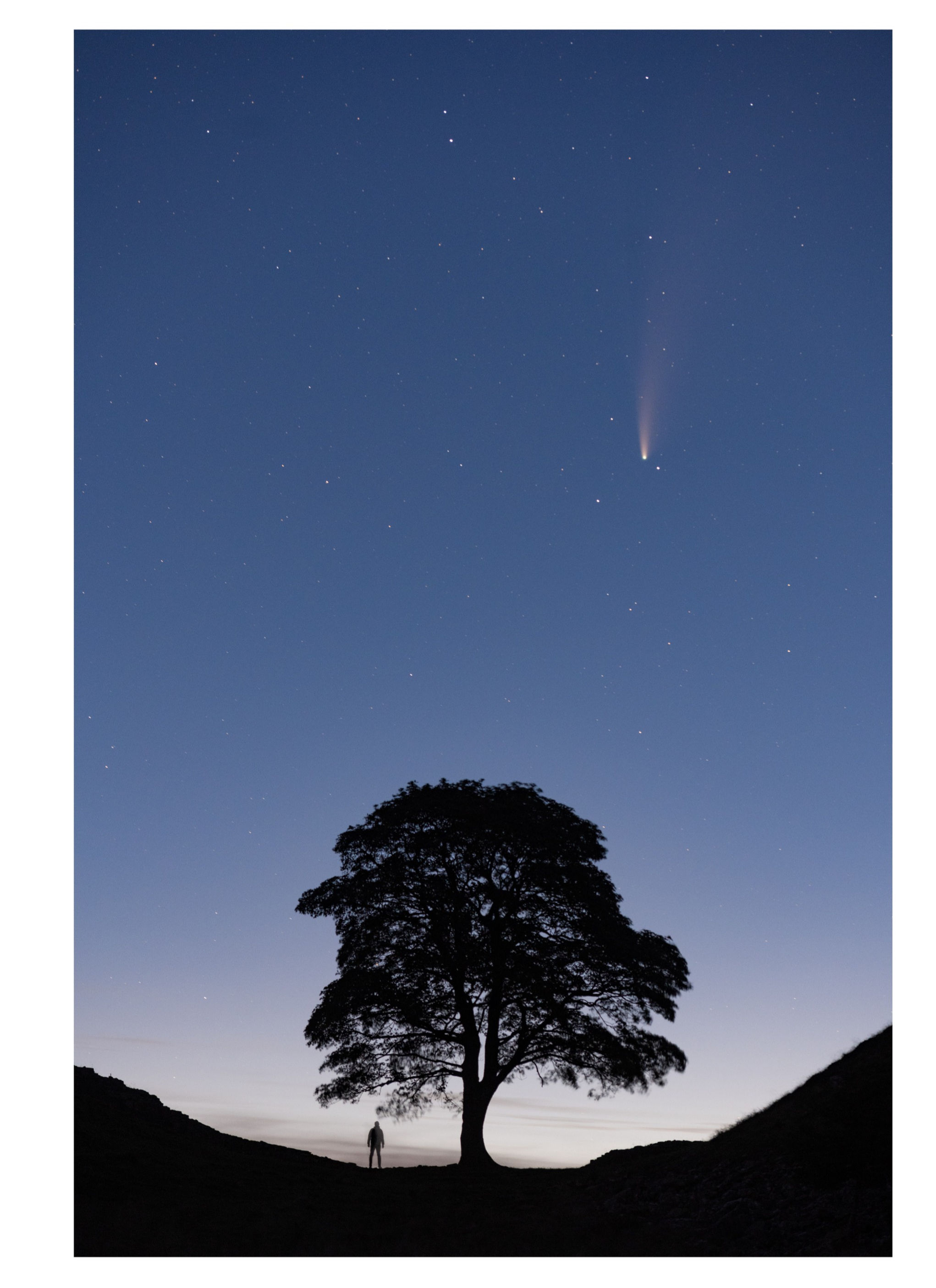 Me versus the neowise comet