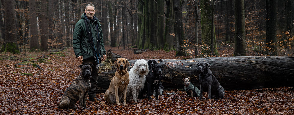 IMG_4387_04 Kopie.jpg