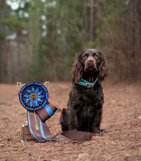 IMG_7048-2 copy cropped with logo_edited.png