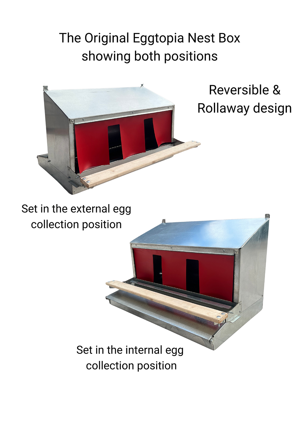 Thumbnail: Original Eggtopia Reversible, Rollaway, Communal Nest Box